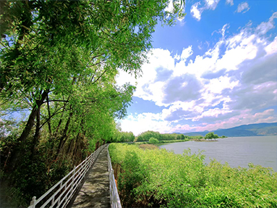 董事長(zhǎng)介紹 董事長(zhǎng)介紹